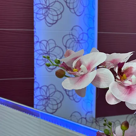 Large, Luxury Condo With Sauna Przemyśl Zewnętrze zdjęcie